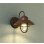 画像1: 大光電機(DAIKO) DWP-39160YG アウトドアライト ポーチ灯 調光(調光器別売) 電球色 LED ランプ付 防雨形 ラスティーブラウン (1)