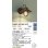 画像2: 大光電機(DAIKO) DWP-39160YG アウトドアライト ポーチ灯 調光(調光器別売) 電球色 LED ランプ付 防雨形 ラスティーブラウン (2)
