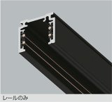 大光電機(DAIKO) TP-VL1002B 部材 DC48Vダクトレール 浅形 2mタイプ ブラック