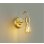 画像1: 大光電機(DAIKO) DBK-42619YG ブラケット 調光(調光器別売) キャンドル色 LED ランプ付 真鍮 (1)