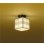画像1: 大光電機(DAIKO) DCL-39121YG 小型シーリング 和風 調光(調光器別売) 電球色 LED ランプ付 白木 (1)