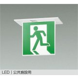 大光電機(DAIKO) DEG-42559 防災照明 誘導灯 非調光 LED内蔵 本体 公共施設用 天井埋込形(片面形) C級(10形) プレート別売