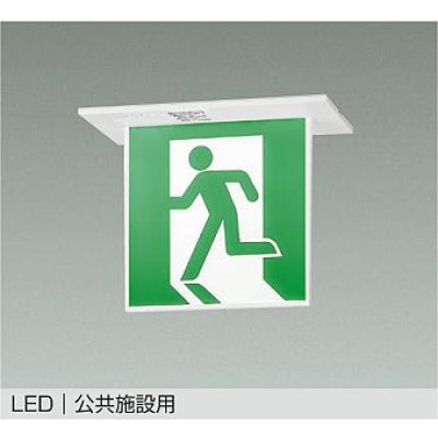 画像1: 大光電機(DAIKO) DEG-42559 防災照明 誘導灯 非調光 LED内蔵 本体 公共施設用 天井埋込形(片面形) C級(10形) プレート別売