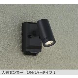 大光電機(DAIKO) DOL-5740YB アウトドアライト スポットライト 非調光 電球色 LED ランプ付 人感センサー ON/OFFタイプI 防雨形 ブラック