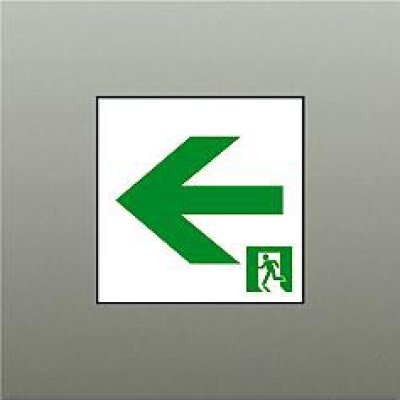 画像1: 大光電機(DAIKO) DP-42562 防災照明 誘導灯 天井埋込形用パネル C級(10形) 本体別売