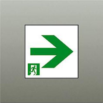 画像1: 大光電機(DAIKO) DP-42563 防災照明 誘導灯 天井埋込形用パネル C級(10形) 本体別売