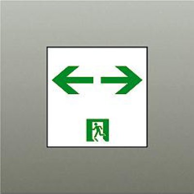 画像1: 大光電機(DAIKO) DP-42564 防災照明 誘導灯 天井埋込形用パネル C級(10形) 本体別売