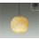 画像1: 大光電機(DAIKO) DPN-40595YG ペンダント 調光(調光器別売) 電球色 LED ランプ付 フランジタイプ (1)