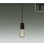 画像1: 大光電機(DAIKO) DPN-42622YG ペンダント 調光(調光器別売) キャンドル色 LED ランプ付 プラグタイプ ブラック (1)