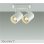 画像1: 大光電機(DAIKO) DSL-4897YWG スポットライト 調光(調光器別売) 電球色 LED ランプ付 フランジタイプ ホワイト (1)