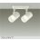画像1: 大光電機(DAIKO) DSL-5323AWE スポットライト 非調光 温白色 LED内蔵 フランジタイプ ホワイト (1)