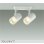 画像1: 大光電機(DAIKO) DSL-5323YWE スポットライト 非調光 電球色 LED内蔵 フランジタイプ ホワイト (1)