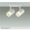 画像1: 大光電機(DAIKO) DSL-5324YWGE スポットライト 調光(調光器別売) 電球色 LED内蔵 フランジタイプ ホワイト (1)