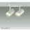 画像1: 大光電機(DAIKO) DSL-5329YWE スポットライト 非調光 電球色 LED内蔵 フランジタイプ ホワイト (1)