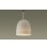 画像1: パナソニック SNP5101L ペンダント 天井吊下型 LED(電球色) 直付タイプ フランジタイプ LED電球交換型 ランプ同梱 ジェード (1)