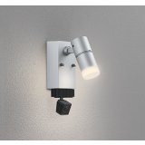 オーデリック OG264224R1 エクステリアライト スポットライト LED一体型 電球色 高演色LED 顔識別カメラ付 コーキングレス型 防雨型 マットシルバー
