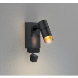 オーデリック OG264226R1 エクステリアライト スポットライト LED一体型 電球色 高演色LED 顔識別カメラ付 コーキングレス型 防雨型 ブラック