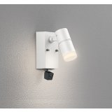 オーデリック OG264227R1 エクステリアライト スポットライト LED一体型 電球色 高演色LED 人検知カメラ付 コーキングレス型 防雨型 オフホワイト