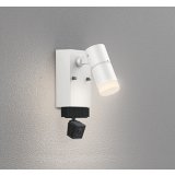 オーデリック OG264228R1 エクステリアライト スポットライト LED一体型 電球色 高演色LED 顔識別カメラ付 コーキングレス型 防雨型 オフホワイト