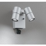 オーデリック OG264247R1 エクステリアライト スポットライト LED一体型 昼白色 高演色LED 人検知カメラ付 コーキングレス型 防雨型 マットシルバー