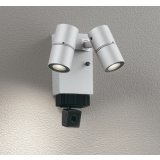 オーデリック OG264250R1 エクステリアライト スポットライト LED一体型 電球色 高演色LED 顔識別カメラ付 コーキングレス型 防雨型 マットシルバー