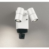 オーデリック OG264258R1 エクステリアライト スポットライト LED一体型 電球色 高演色LED 顔識別カメラ付 コーキングレス型 防雨型 オフホワイト