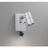 オーデリック OG264261R1 エクステリアライト スポットライト LED一体型 電球色 高演色LED 人検知カメラ付 コーキングレス型 防雨型 マットシルバー