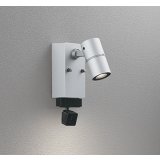 オーデリック OG264262R1 エクステリアライト スポットライト LED一体型 電球色 高演色LED 顔識別カメラ付 コーキングレス型 防雨型 マットシルバー