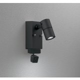 オーデリック OG264264R1 エクステリアライト スポットライト LED一体型 昼白色 高演色LED 顔識別カメラ付 コーキングレス型 防雨型 ブラック