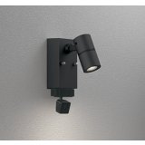 オーデリック OG264266R1 エクステリアライト スポットライト LED一体型 電球色 高演色LED 顔識別カメラ付 コーキングレス型 防雨型 ブラック