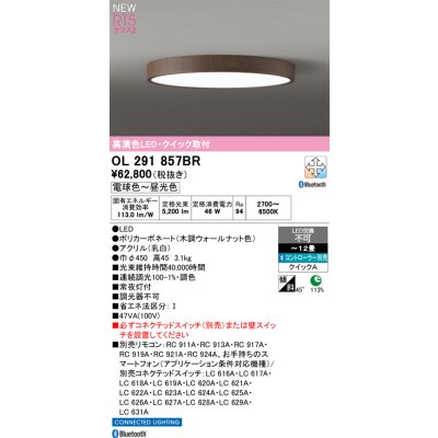 画像2: オーデリック OL291857BR シーリングライト 12畳 LED一体型 Bluetooth調光調色 高演色LED コントローラー別売 木調ウォールナット