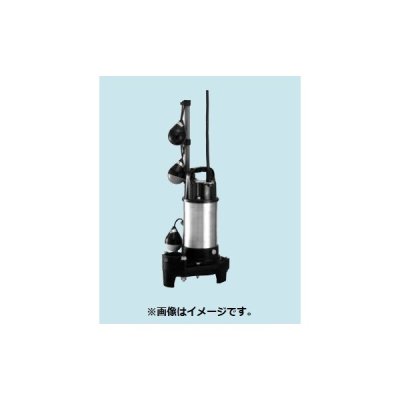 画像1: 排水水中ポンプ テラル　32PLT-5.15S　50Hz 樹脂製 汚水タイプ 自動交互並列運転 [■]