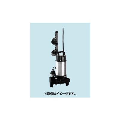 画像1: 排水水中ポンプ テラル　40PVT-5.15S　50Hz 樹脂製 汚水・雑排水用 自動交互並列運転 [■]