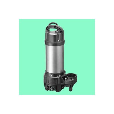 画像1: 排水水中ポンプ テラル　65PV2-51.5　50Hz 樹脂製 雑排水タイプ [■]