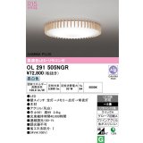 オーデリック OL291505NGR シーリングライト 高演色LED リモコン付 連続調光 昼白色 〜8畳