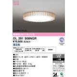 オーデリック OL291506NGR シーリングライト 高演色LED リモコン付 連続調光 昼白色 〜6畳
