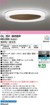 オーデリック OL291665BR シーリングライト 高演色LED Bluetooth 調光調色 電球色〜昼光色 リモコン別売 コントローラー別売 〜12畳