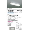 コイズミ照明　AB46898L　ブラケット LED一体型 直付・壁付取付可能型 スイッチ付 昼白色 [∽]