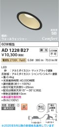 コイズミ照明 AD1228B27 ダウンライト 埋込穴φ100 調光 調光器別売 LED一体型 電球色 高気密SB形 傾斜・ウォールウォッシャー 防雨・防湿型 マットブラック