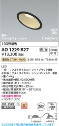 コイズミ照明 AD1229B27 ダウンライト 埋込穴φ100 調光 調光器別売 LED一体型 電球色 高気密SB形 傾斜・ウォールウォッシャー 防雨・防湿型 マットブラック