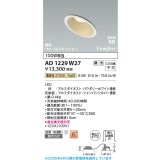 コイズミ照明 AD1229W27 ダウンライト 埋込穴φ100 調光 調光器別売 LED一体型 電球色 高気密SB形 傾斜・ウォールウォッシャー 防雨・防湿型 パウダリーホワイト