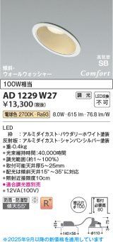 コイズミ照明 AD1229W27 ダウンライト 埋込穴φ100 調光 調光器別売 LED一体型 電球色 高気密SB形 傾斜・ウォールウォッシャー 防雨・防湿型 パウダリーホワイト