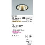 コイズミ照明　AD43389L　M形ダウンライト ON-OFFタイプ 白熱球60W相当 LED一体型 電球色 防雨型 埋込穴φ125 ブラック 広角