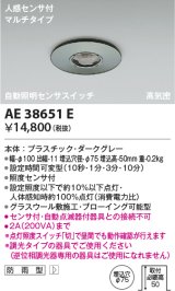 コイズミ照明　AE38651E　自動照明センサスイッチ 高気密 人感センサ付 マルチタイプ 防雨型 埋込穴φ75 ダークグレー