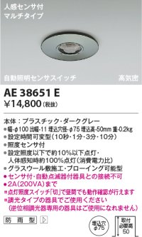 コイズミ照明　AE38651E　自動照明センサスイッチ 高気密 人感センサ付 マルチタイプ 防雨型 埋込穴φ75 ダークグレー