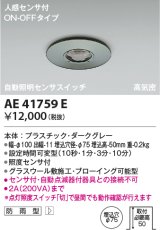 コイズミ照明　AE41759E　自動照明センサスイッチ 高気密 人感センサタイマー付 ON-OFFタイプ 埋込穴φ75 ダークグレー 防雨型