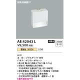 コイズミ照明　AE42043L　保安灯 ナイトライト 自動点滅器付 LED一体型 電球色 ホワイト