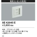 コイズミ照明　AE42045E　保安灯 ナイトライト 別売部材 専用コンセント ホワイト