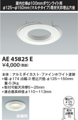 コイズミ照明　AE45825E　ダウンライト M型ダウンライト用リニューアルプレート φ100 ダウンライト用