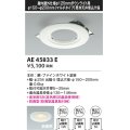 コイズミ照明　AE45833E　ダウンライト 軒下用リニューアルプレート 屋内屋外兼用 φ125 ダウンライト用 防雨型